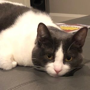 Meet your Posher, GeneviÃ¨ve